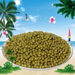 中华老字号 东阿阿胶桃花姬阿胶糕300g