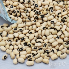 【供应】白豇豆 优质白豇豆批发 精品五谷杂粮 质优价廉