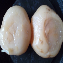 批发泡酸萝卜 泡酸菜 泡豇豆 泡辣椒系列 餐饮酒楼厨师专用酸...
