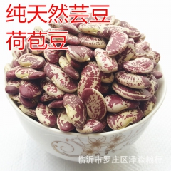 批发荷包豆天然荷包豆 自种优质芸豆花豆 五谷杂粮