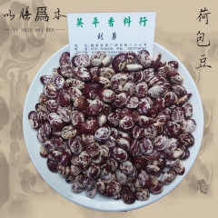 批发精选荷包豆 五谷杂粮肾花豆 大颗粒肾豆代工OEM贴牌50...