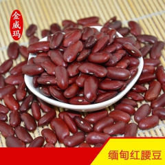 金威玛 精选红豆 ���豆 红腰豆缅甸红腰豆 特价促销