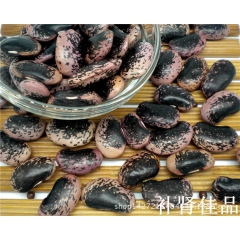 大花豆 黑花芸豆 牛眼豆 大黑花豆 雪山花芸豆
