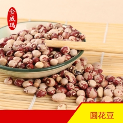 金威玛 特价促销 精选花豆 圆花豆 花圆豆