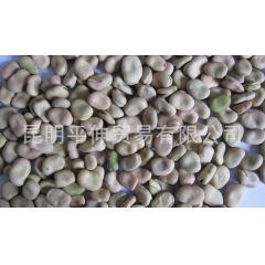 干蚕豆胡豆兰花豆 大量批发零售云南适合油炸的带壳蚕豆