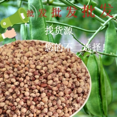花豆 批发供应