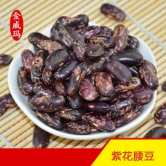 特价促销花豆 花腰豆 大花腰豆 紫花豆