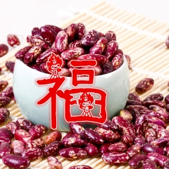 金丝豆500g 芸豆 花芸豆 雀蛋豆 奶花豆 农家有机豆