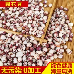 圆花豆批发 花豆 五谷杂粮批发 精选花圆豆优质芸豆