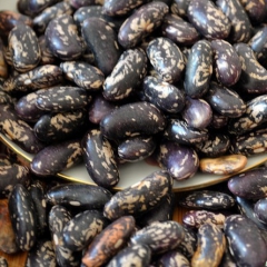 云南特产  黑花豆 黑芸豆大黑花芸豆 大黑豆500g
