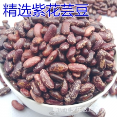 大量批发东北紫花芸豆 高质量紫芸豆 花豆 健康粗粮 五谷杂粮