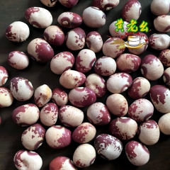 云南小花豆 奶花豆 熊猫豆 五谷杂粮批发销售 有机食品 25...