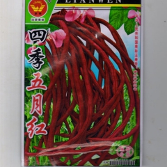 蔬菜水果实惠装【四季五月红特长豇豆】无架豆 炒菜食用家庭必备