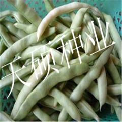 白芸豆【改良九粒白架芸豆】 架豆 高产鲜嫩 100克