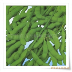 (鲜食毛豆)长期出售速冻优质毛豆