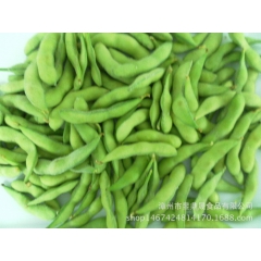 冷冻蔬菜 优质速冻食品 优质速冻毛豆 各类冷冻食品批发零售