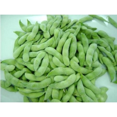 供应速冻毛豆