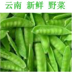 菜豌豆荷兰豆- 原产地低价直销 欢迎餐厅批发 云南特产农家菜...