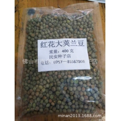 民安红花大荚荷兰豆 400克