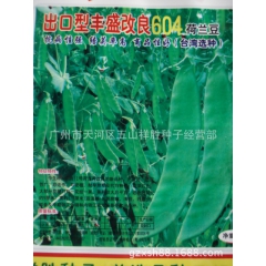 优良荷兰豆品种  出口型丰盛改良604荷兰豆 红花中荚 抗病...