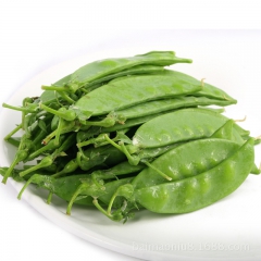新鲜荷兰豆 豆类蔬菜 软荚菜豌豆 绿色无公害高原夏菜 7月份...