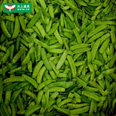 速冻新鲜荷兰豆 荷仁豆_沃土蔬菜_出口欧美日本冷冻食品安全标...