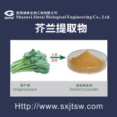 芥兰提取物 芥兰粉 芥蓝菜提取物 现货供应