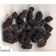 供应各种中药材超市供应桑椹子 桑葚 无沙子 不牙碜酸梅汤原料