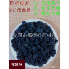 批发 食品级 桑葚 桑葚干 桑葚子 无硫烘干纯干不牙碜