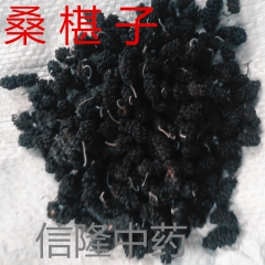 供应中药材 黑桑葚 桑椹子 桑葚干 提供按方抓药服务