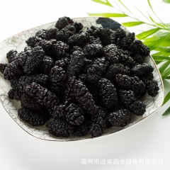 批发中药材黑桑葚 桑葚子 桑葚干 药食同源