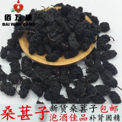 佰万康药业批发中药材黑桑葚 桑葚子 桑葚干干净无杂物