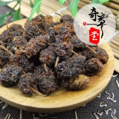 批发供应黑桑葚 桑葚子野生黑桑葚干 中药桑葚干 无沙桑葚干