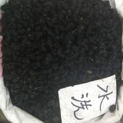 桑葚干 水洗桑葚 批发公共各种规格 桑葚 量大更优