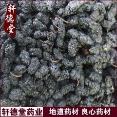 x95批发中药材黑桑葚 桑葚子 桑葚干 药食同源