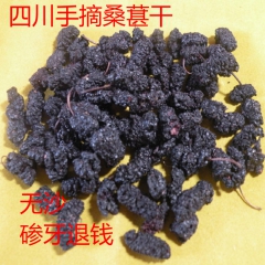 桑葚干 桑葚 批发供应优质无沙手选四川桑葚干 桑葚 各种规格