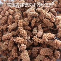 中药材批发零售 桑葚干 药用白桑葚 生桑椹子 1千克