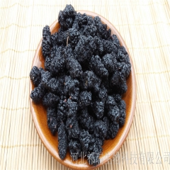 厂家直销 黑桑葚干 新疆无沙桑葚干 新鲜桑葚 桑葚头