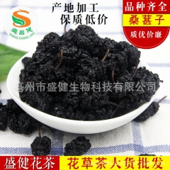 桑葚 批发中药材 黑桑葚子 16年新货水洗 桑葚干 量大从优