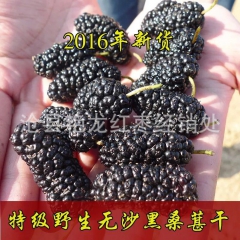 2016新货上市 野生桑葚 桑葚子 黑桑葚干 药食同源 大货...