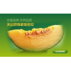 新疆特色有机哈密瓜  特级西周密25号