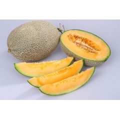 正宗新疆西洲密哈密瓜 2.5kg/个