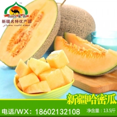 哈密瓜 优质鲜果 皇家果园哈密瓜新疆特产全国批发 支持一件代...