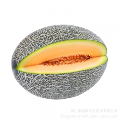 产地直销 新鲜水果批发哈蜜瓜西洲蜜 脆甜水多 特产哈密瓜