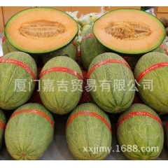 哈密瓜 西州蜜25号 丝路晓蜜瓜汁多肉甜 新鲜水果 20斤