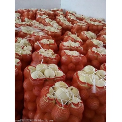 陕西大荔大量供应优质甜瓜种植基地价格