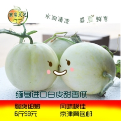 精选新鲜农家白皮香瓜 甜瓜 白沙蜜小白瓜 全国包邮2个装5斤