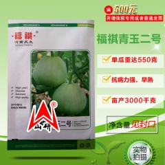 抗病高产 糖度16度 青玉二号苹果型薄皮甜瓜香瓜 亩产600...