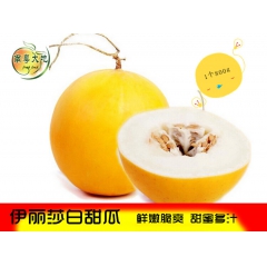 精选山东伊丽莎白甜瓜4个装6斤左右 黄皮香瓜 哈密瓜水果