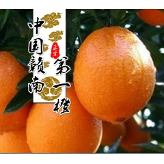 正宗赣南脐橙  新鲜橙子安远优质脐橙 10斤精品装包邮果园现...